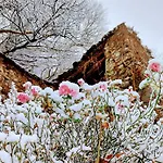 Bed & Breakfast La Casa Nel Bosco Beb Bee