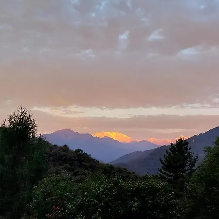 La Casa Nel Bosco Beb Couette-café Bee