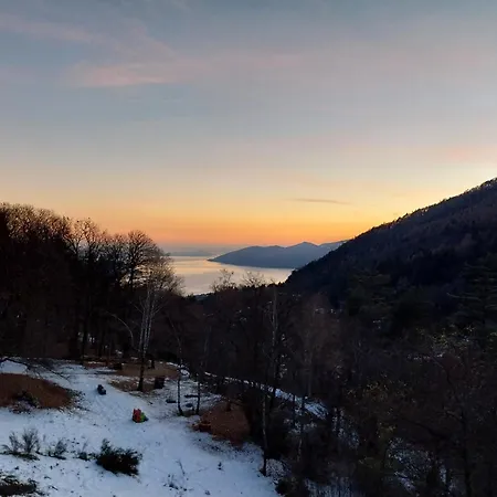 Bed & Breakfast La Casa Nel Bosco Beb 3*