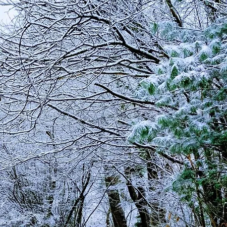 Couette-café La Casa Nel Bosco Beb