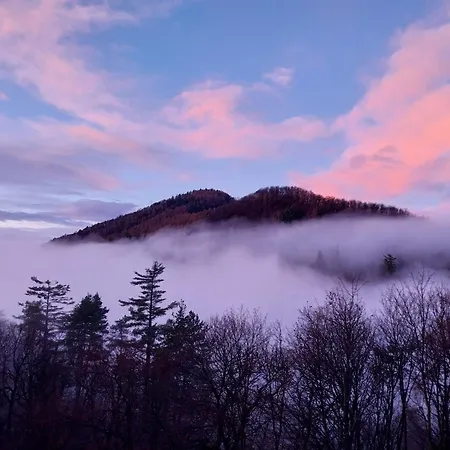 Bed & Breakfast La Casa Nel Bosco Beb Bee