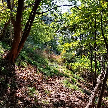 La Casa Nel Bosco Beb Couette-café 3*