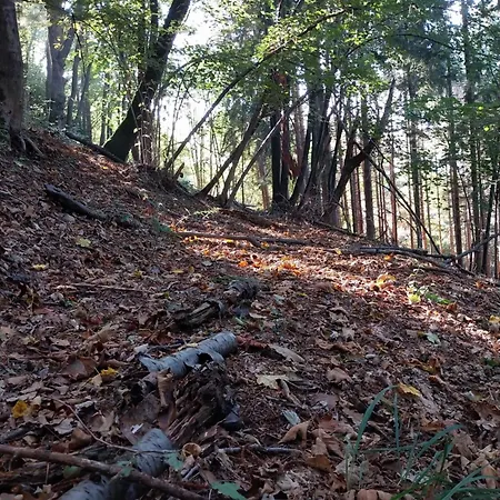 Couette-café La Casa Nel Bosco Beb