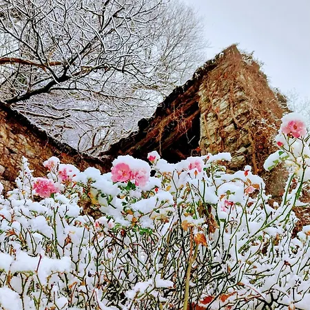 Oda ve Kahvaltı La Casa Nel Bosco Beb Bee