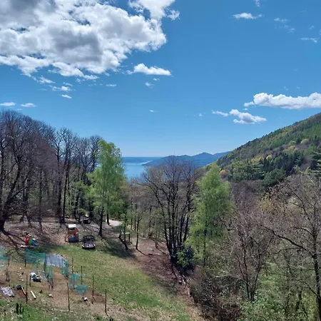 La Casa Nel Bosco Beb 3* Bee