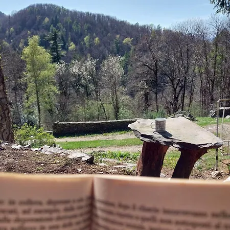 La Casa Nel Bosco Beb Couette-café